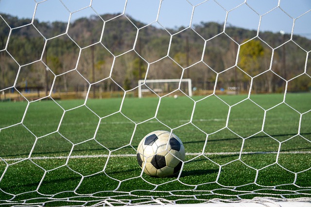 奥斯卡的身 奥斯卡的身